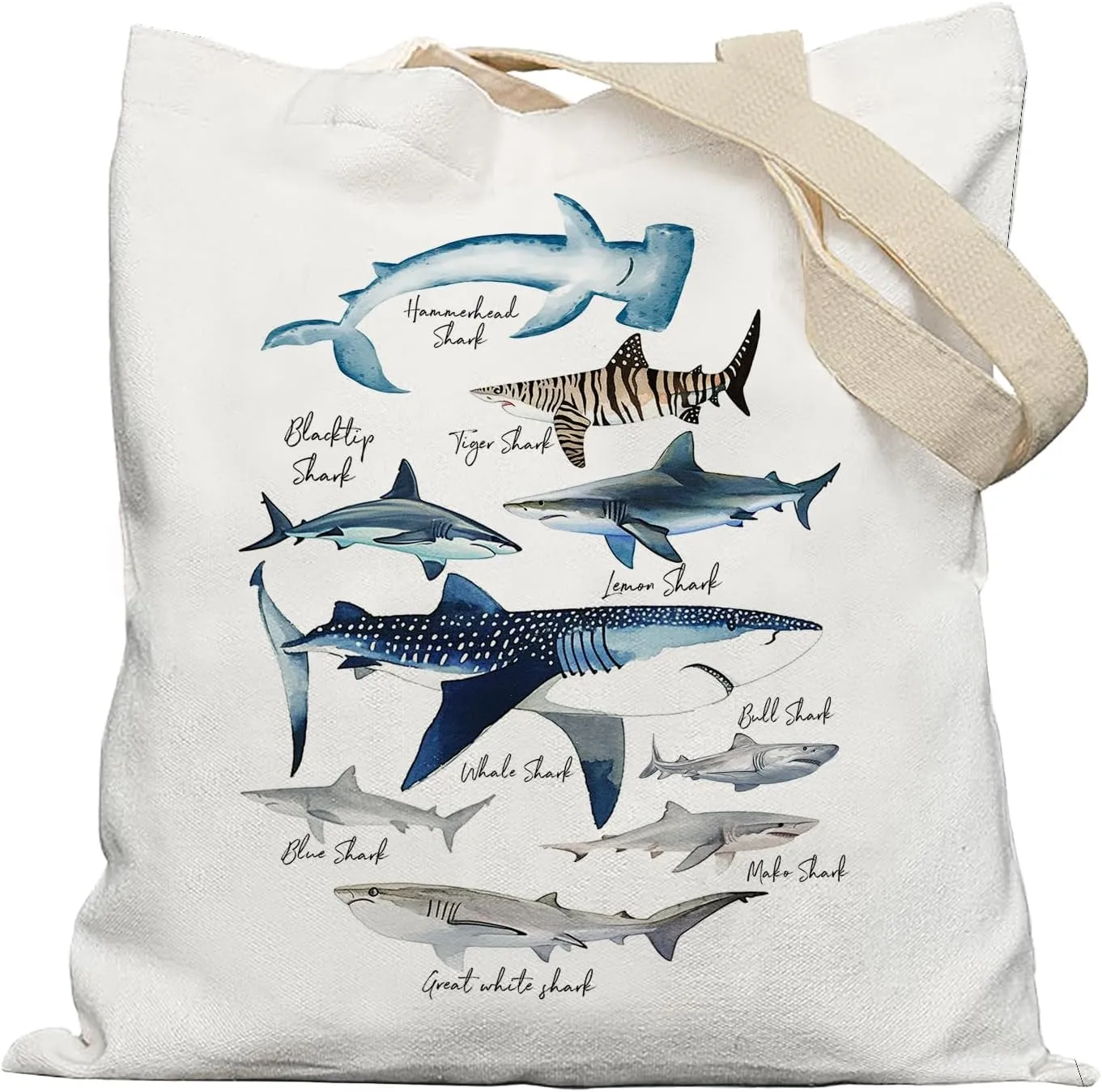 Beach Shark Canvas Tote Bag, Shark Species Tote bag, Shark Gifts for Shark Lovers, Shark Themed Gifts, Sea Creature Gifts, Reusable Grocery Bags Shopping Bags, Preppy Gifts, White