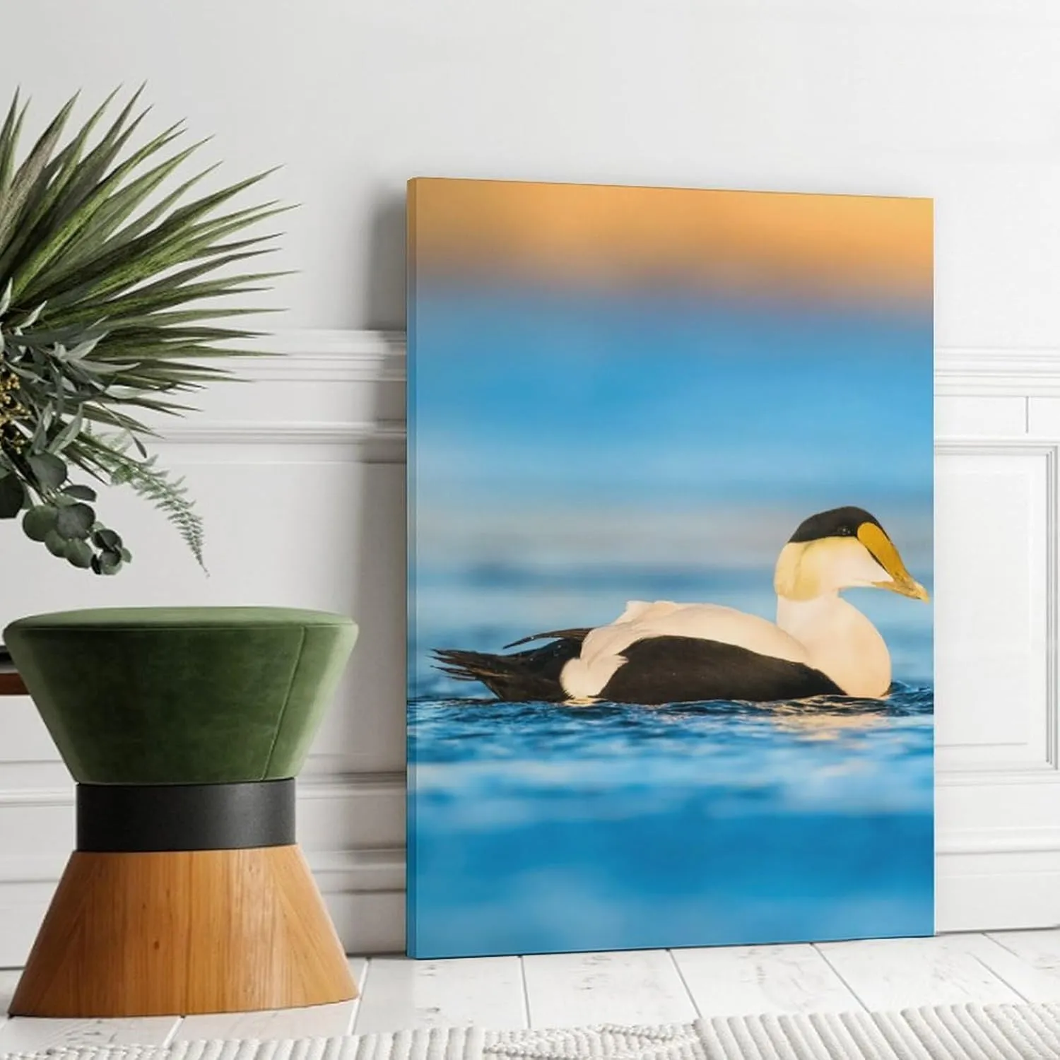 Beautiful Common Eiders Duck Room Aesthetics Posters Canvas Posters Bedroom Decoration Sports Office Decoration Gifts Wall Art Decoration Printing Posters 12x18inchs(30x45cm)