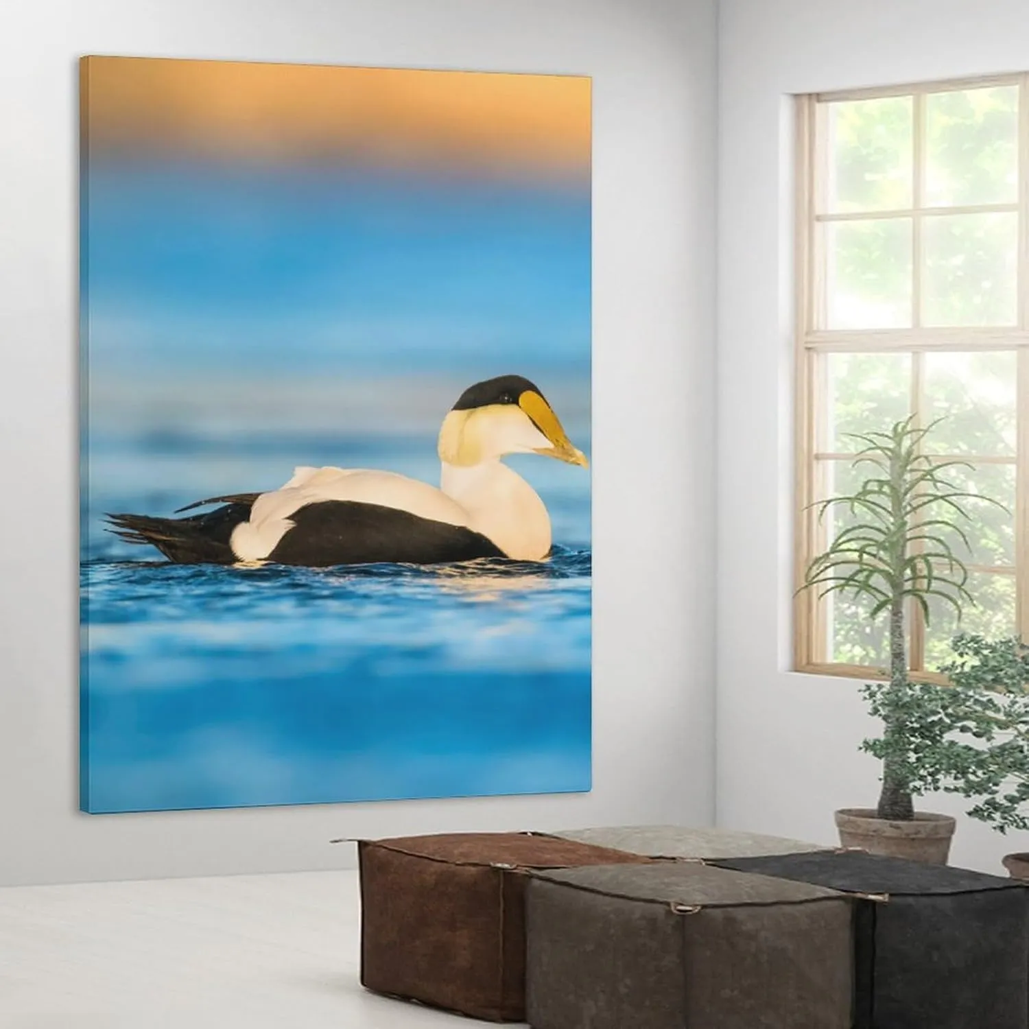 Beautiful Common Eiders Duck Room Aesthetics Posters Canvas Posters Bedroom Decoration Sports Office Decoration Gifts Wall Art Decoration Printing Posters 12x18inchs(30x45cm)