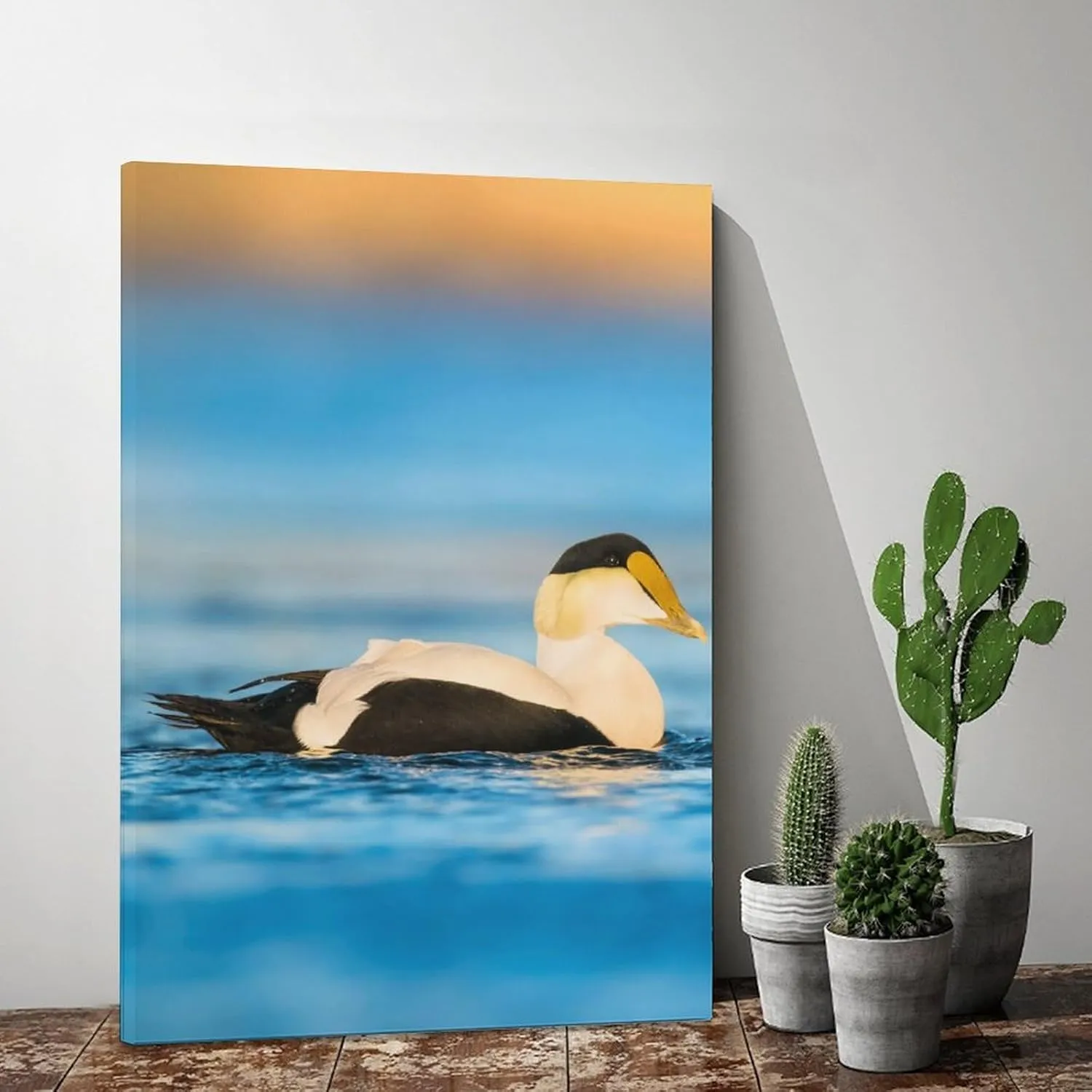 Beautiful Common Eiders Duck Room Aesthetics Posters Canvas Posters Bedroom Decoration Sports Office Decoration Gifts Wall Art Decoration Printing Posters 12x18inchs(30x45cm)