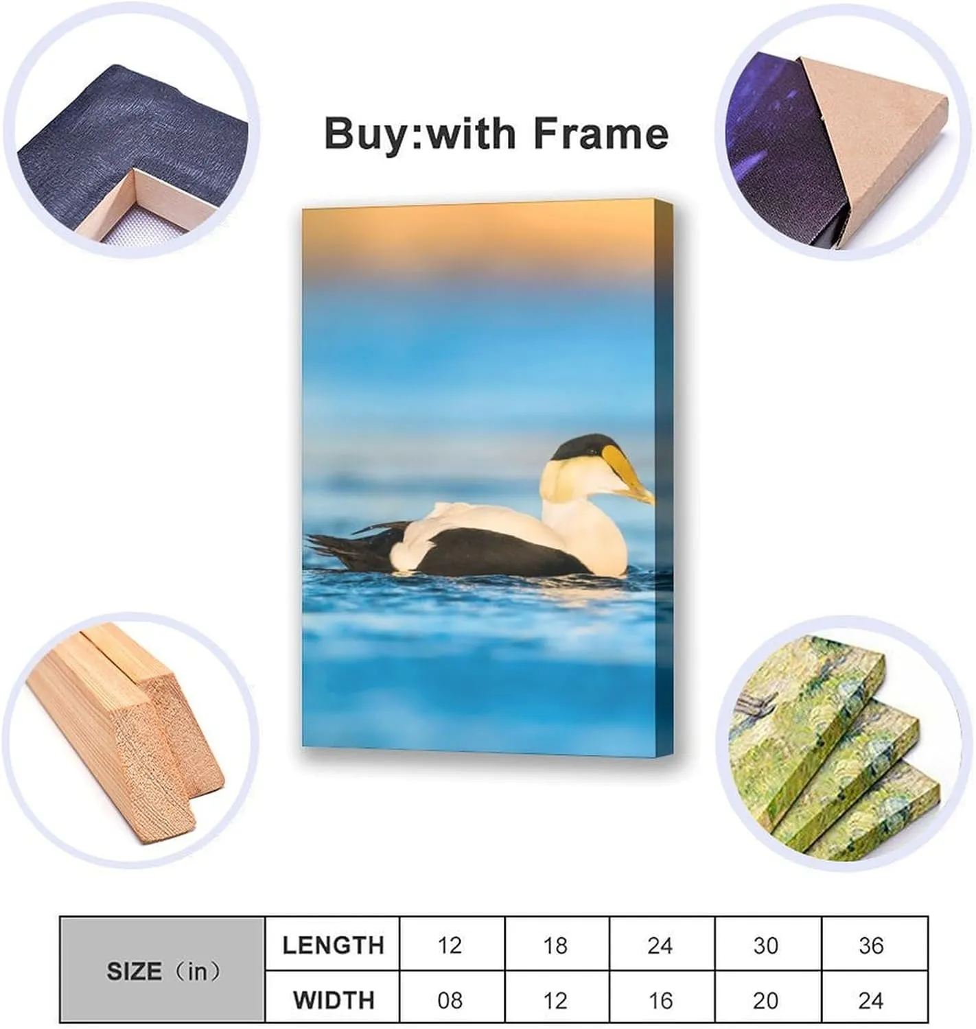 Beautiful Common Eiders Duck Room Aesthetics Posters Canvas Posters Bedroom Decoration Sports Office Decoration Gifts Wall Art Decoration Printing Posters 12x18inchs(30x45cm)