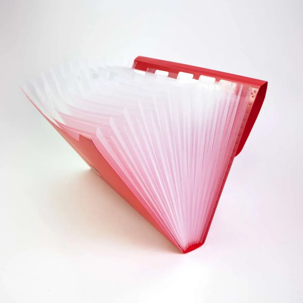 Expanding File A4/Letter Size Poly 13-Pocket