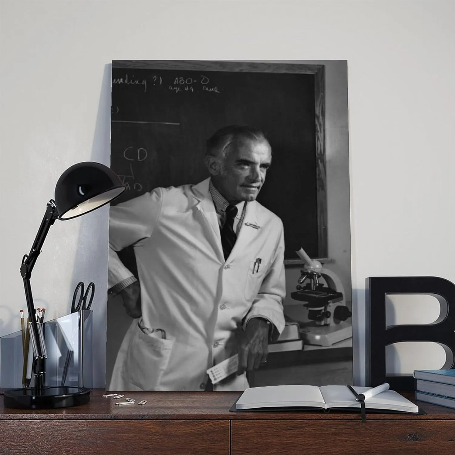 JJDAKUN The Father of Nephrology Dr. John P. Merrill Canvas Decoration Posters 20x30inch(50x75cm)