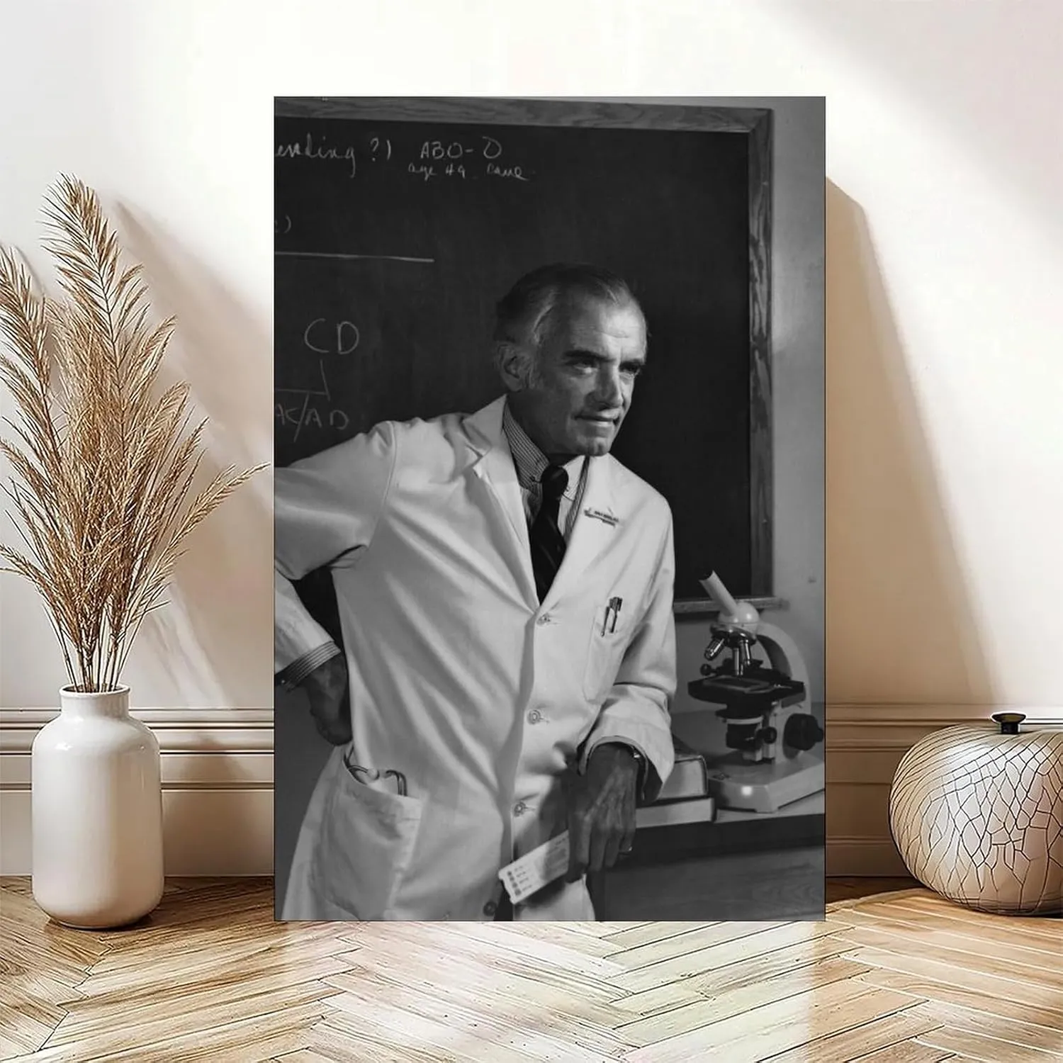 JJDAKUN The Father of Nephrology Dr. John P. Merrill Canvas Decoration Posters 20x30inch(50x75cm)