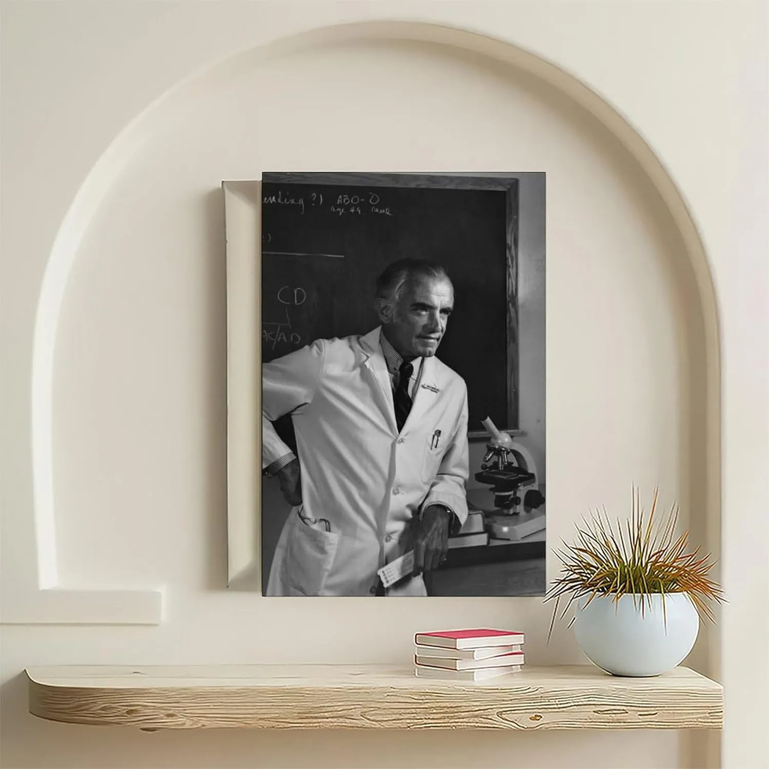 JJDAKUN The Father of Nephrology Dr. John P. Merrill Canvas Decoration Posters 20x30inch(50x75cm)
