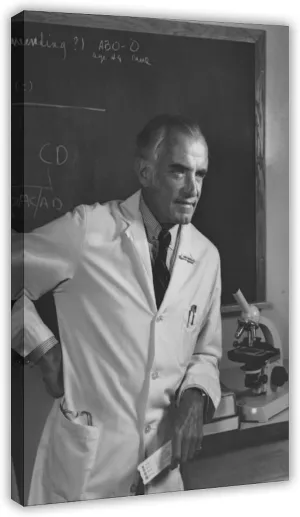 JJDAKUN The Father of Nephrology Dr. John P. Merrill Canvas Decoration Posters 20x30inch(50x75cm)