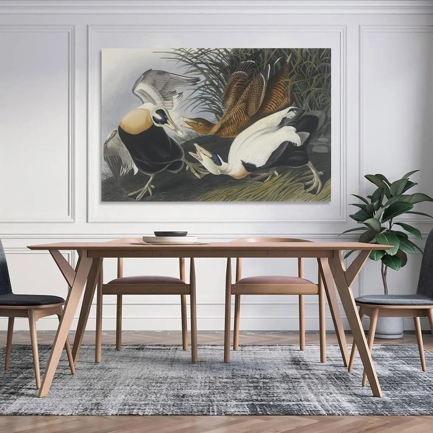 John James Audubon Art Prints Eider Duck 2 Poster Poster Decorative Painting Canvas Wall Art Living Room Posters Bedroom Painting 12x18inch(30x45cm)