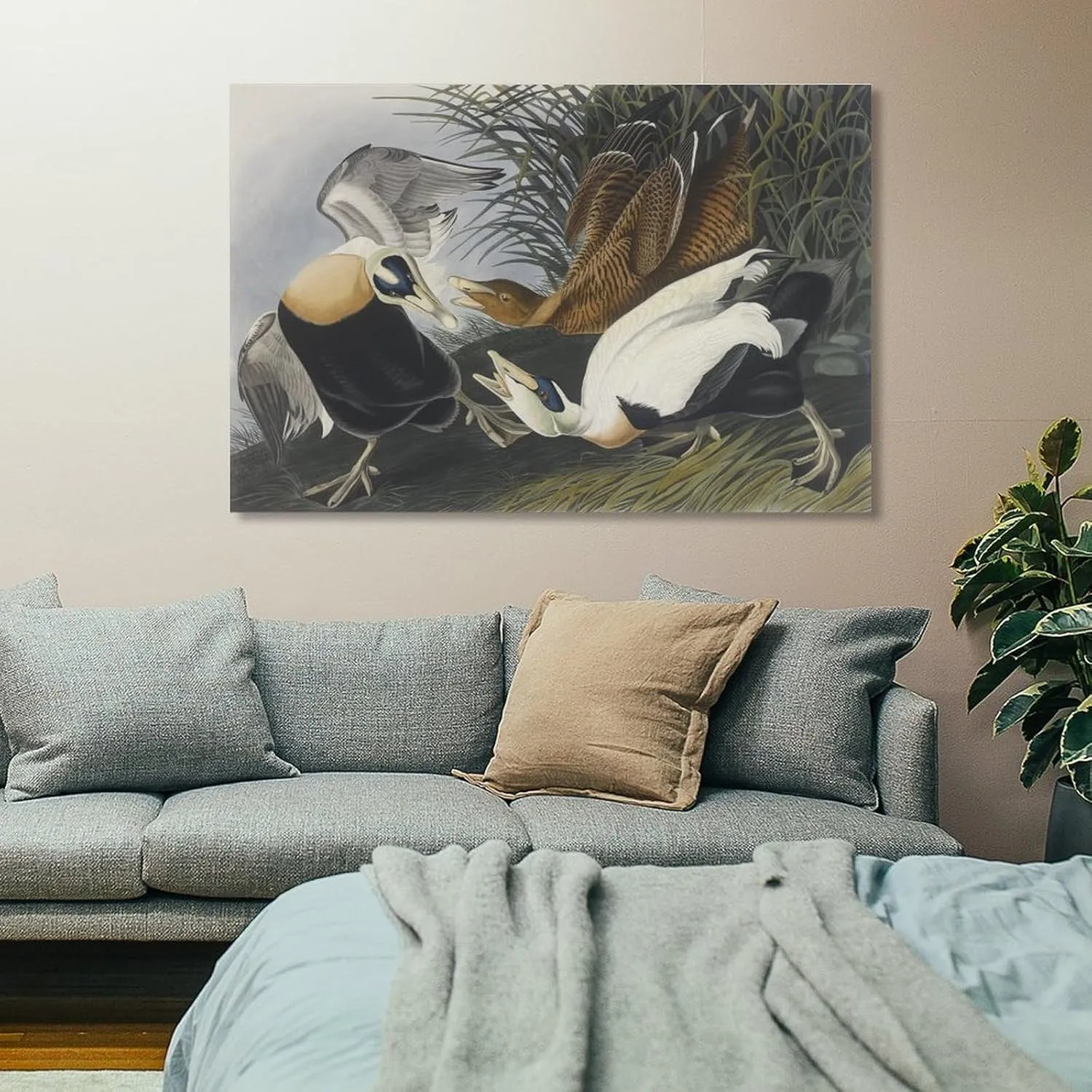 John James Audubon Art Prints Eider Duck 2 Poster Poster Decorative Painting Canvas Wall Art Living Room Posters Bedroom Painting 12x18inch(30x45cm)