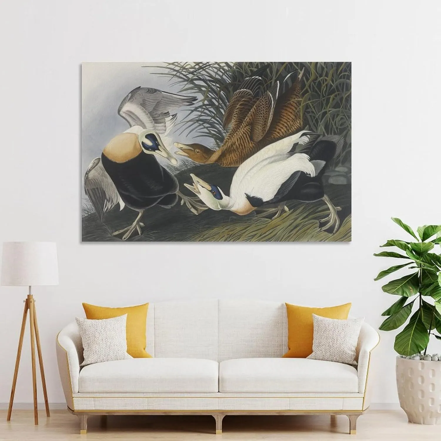 John James Audubon Art Prints Eider Duck 2 Poster Poster Decorative Painting Canvas Wall Art Living Room Posters Bedroom Painting 12x18inch(30x45cm)