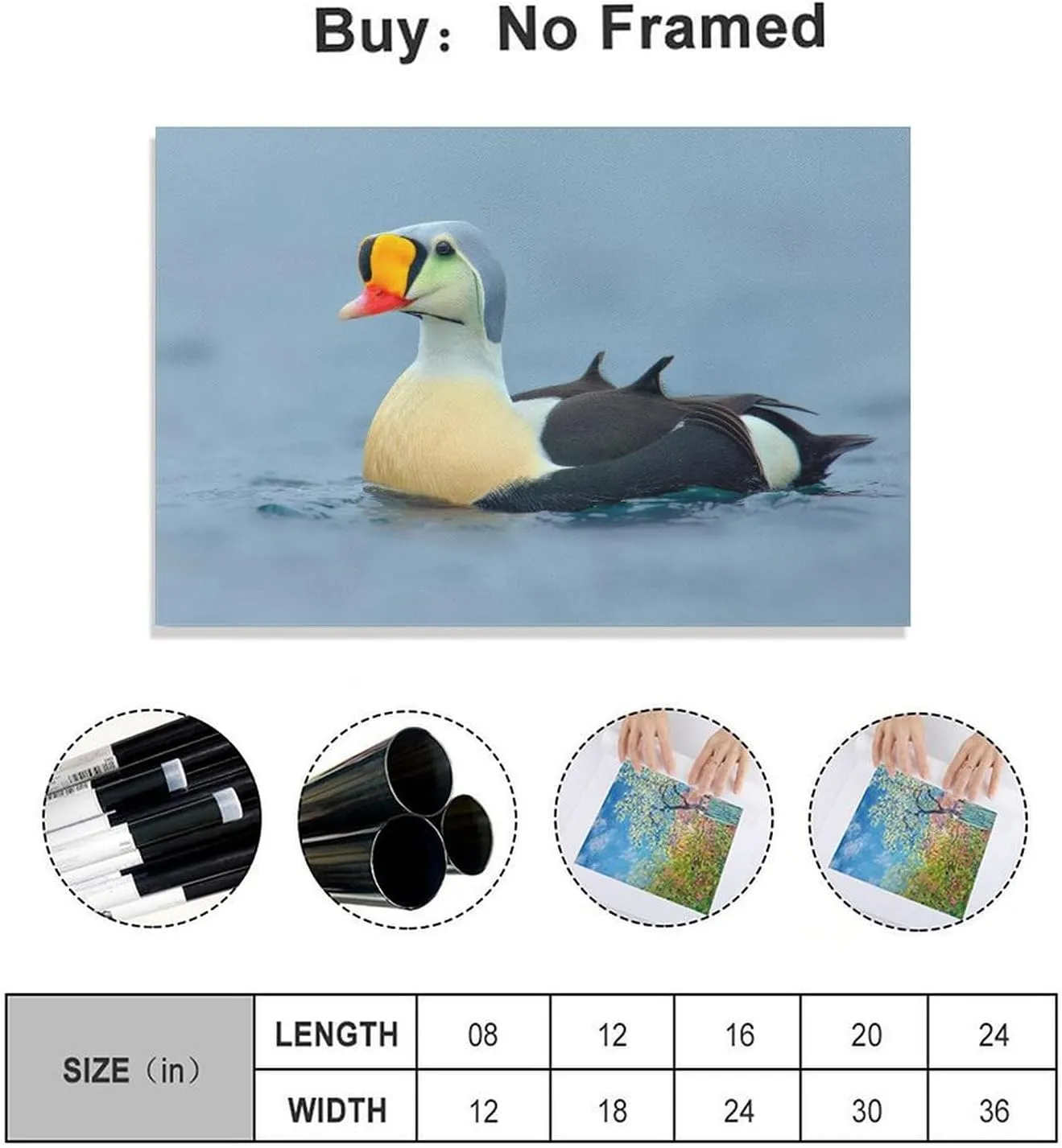 King Eider Duck Red Mouth Room Aesthetics Posters Canvas Posters Bedroom Decoration Sports Office Decoration Gifts Wall Art Decoration Printing Posters 12x18inch(30x45cm)