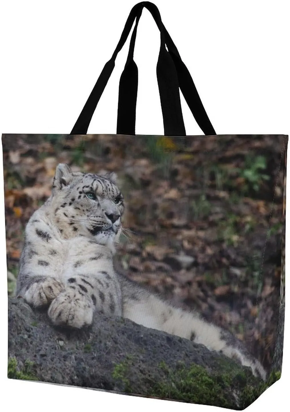 Large Capacity Shopping Tote Bag for Women, Girls