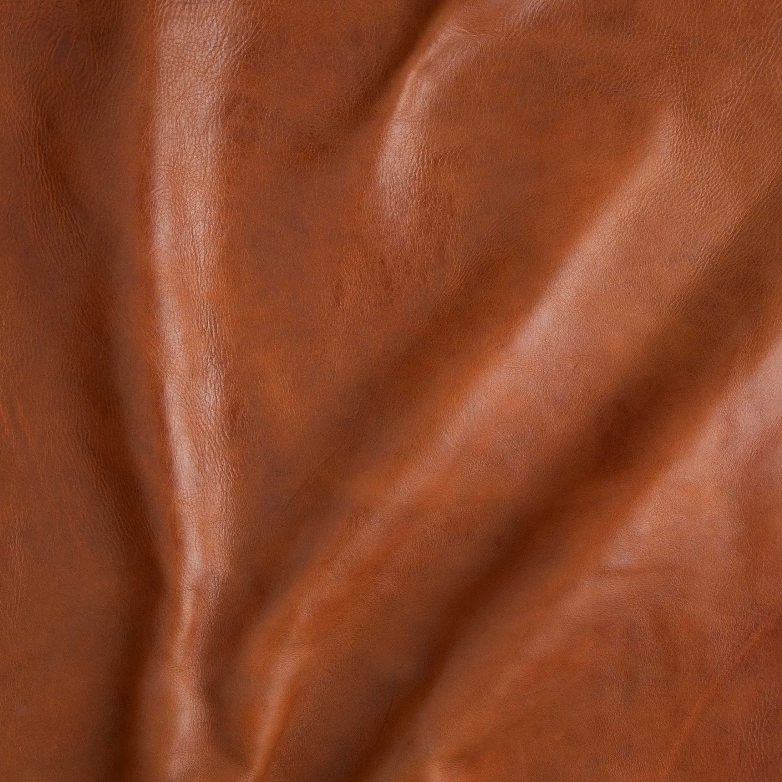 Montana Veg-Tan Side