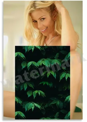 Sexy Alexis Fawx Poster Art (11) Canvas Painting Wall Art Poster for Bedroom Living Room Decor 24x36inch(60x90cm)