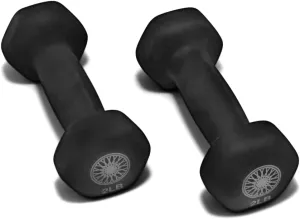 SoulCycle 2lb Hand Weights