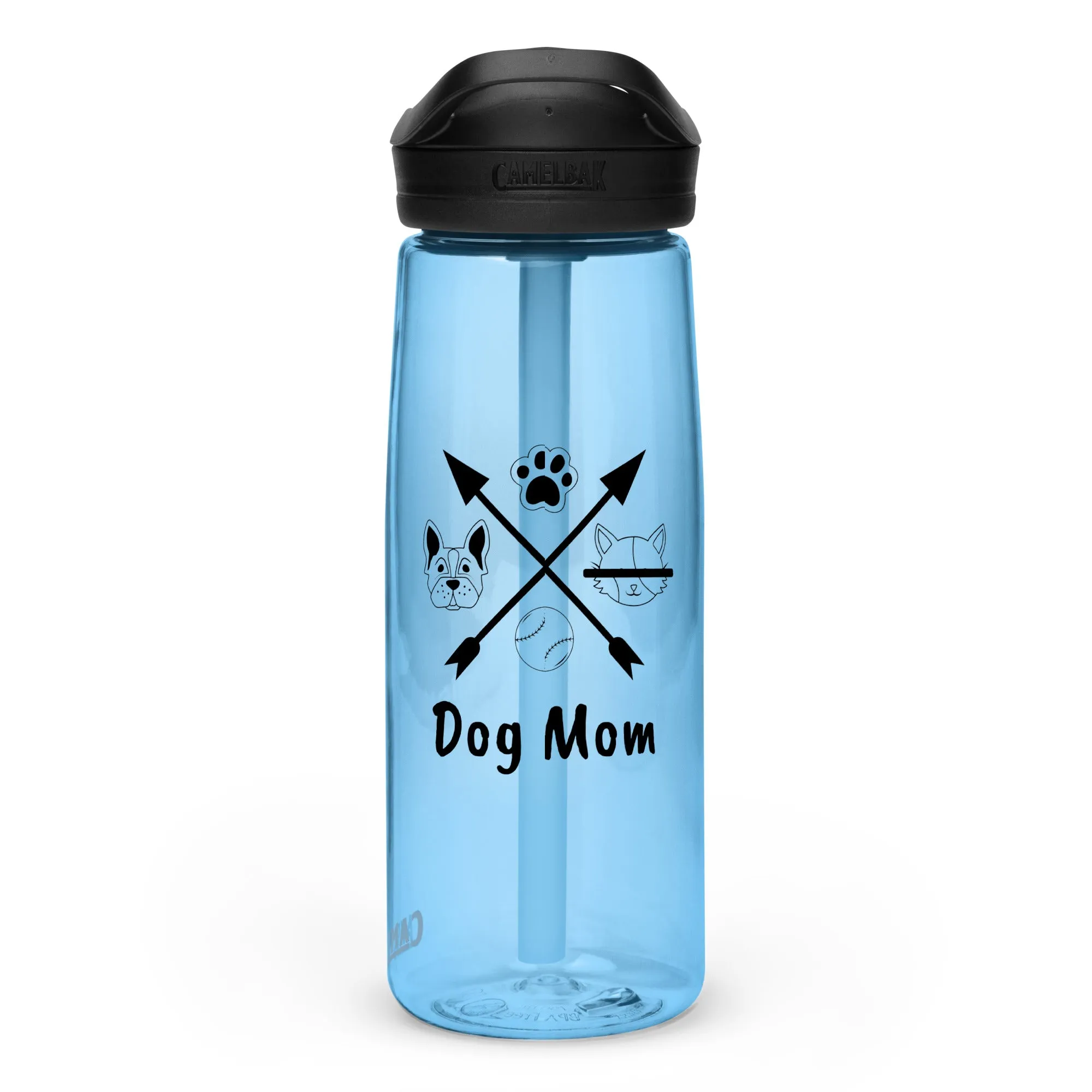 Sports water bottle