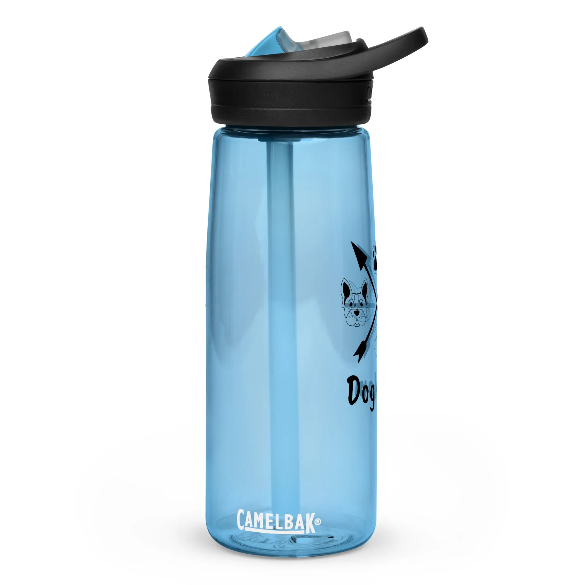 Sports water bottle