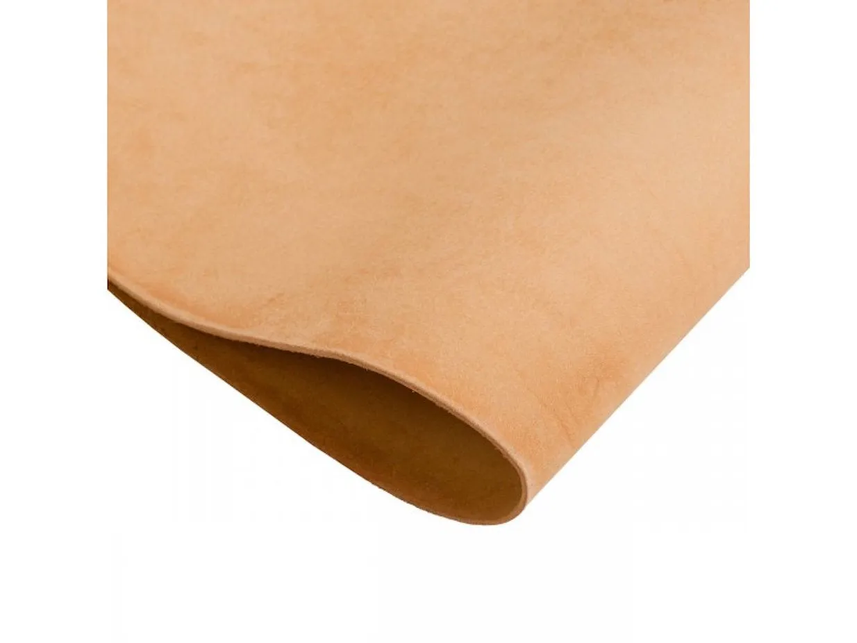 the nomad card carrier
