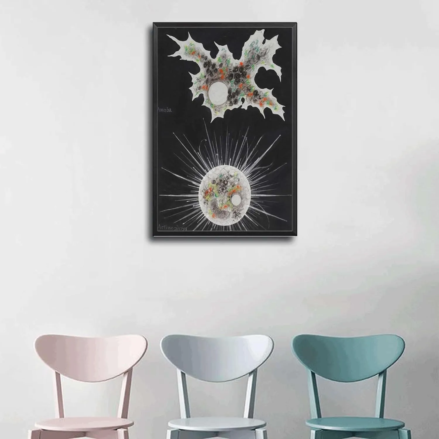 YPEKODRF Canvas Wall PicturesPhilip Henry Gosse Amoeba (CBedroom Kitchen Office Home Wall Decor12x18inch
